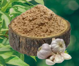 Dehydrated Garlic Powder