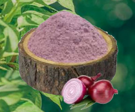 Dehydrated Red Onion Powder