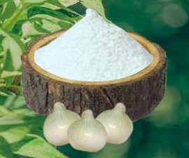 Dehydrated White Onion Powder